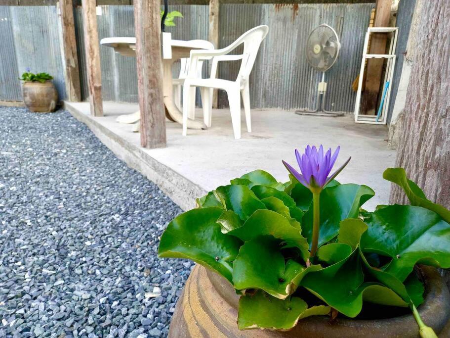 Grandma'S House Villa Чиангмай Екстериор снимка